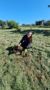 Amedap celebra el dia mundial del medio ambiente con acciones de reforestación en conjunto con la Municipalidad de Ciudad del Este